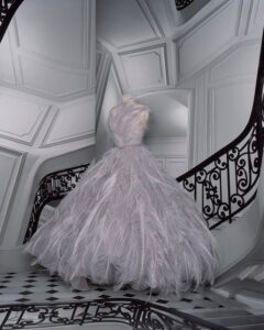 Paris Haute Couture digitale - Dior